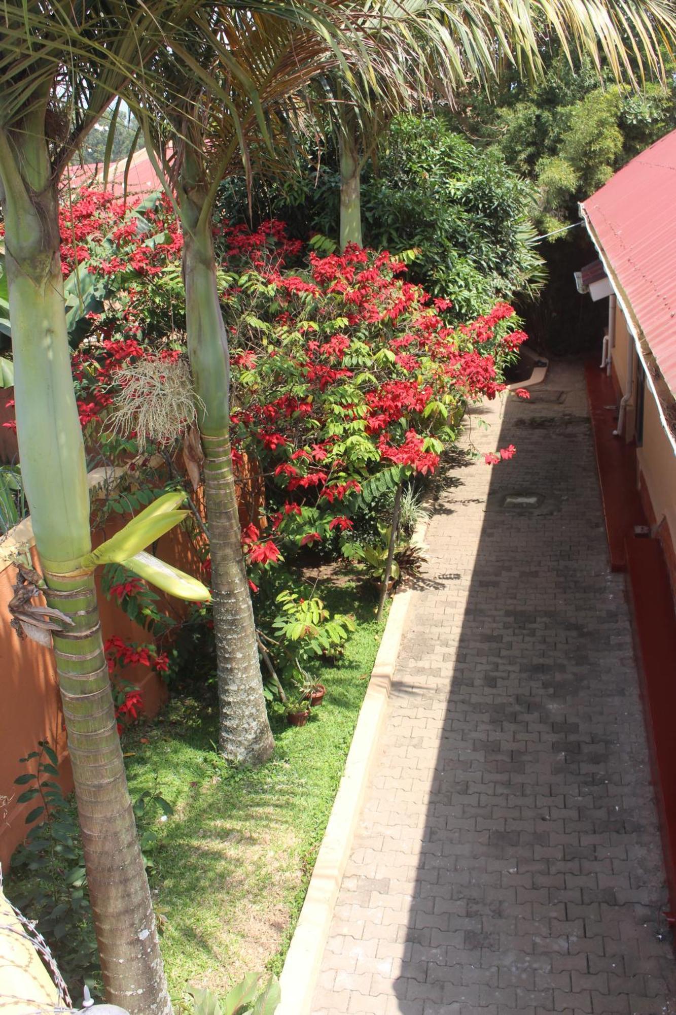 Montane Safaris Hotel Fort Portal Eksteriør bilde